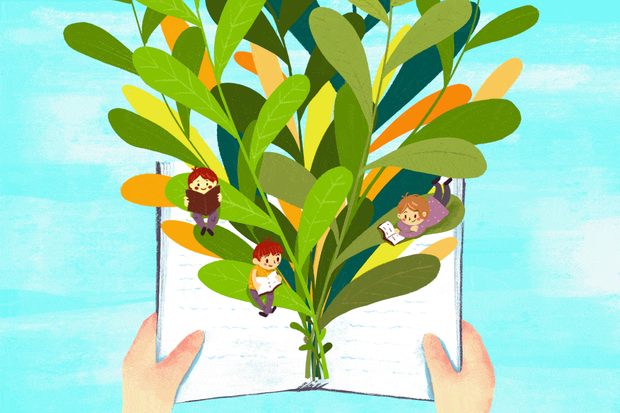 پایه ششم پایه ششم